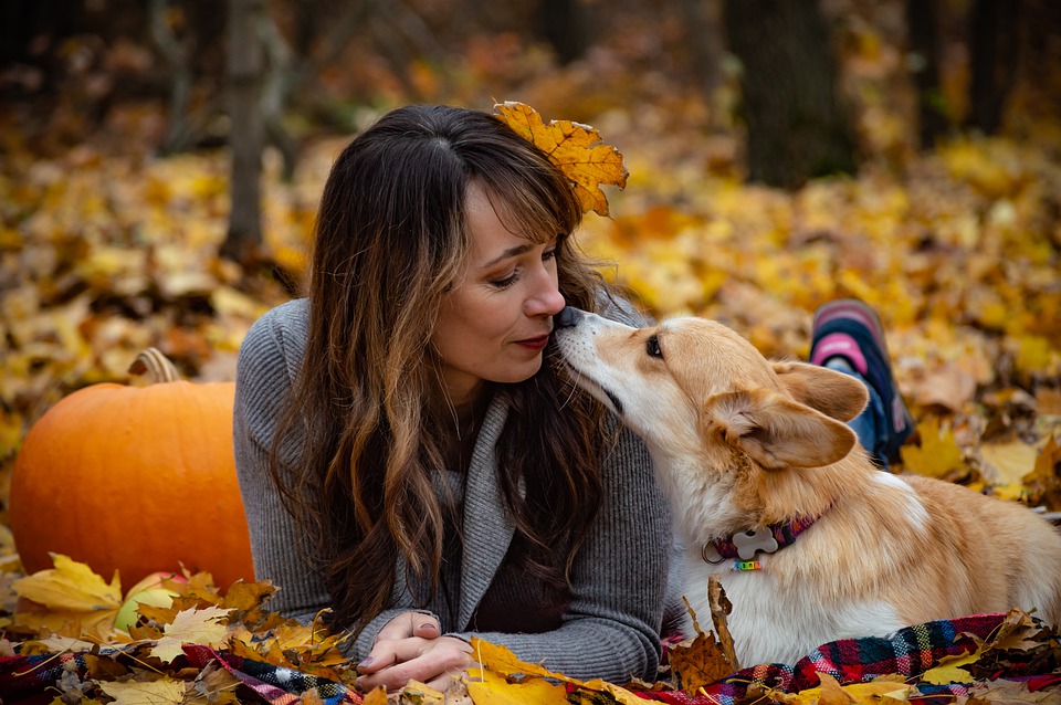 Most Affectionate Dog Breeds that Give Plenty of Love to Their Owners