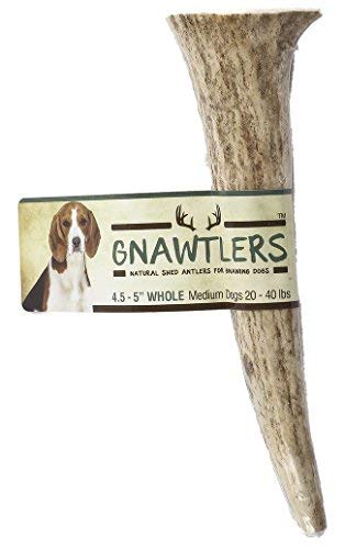 Pet Parents Gnawtlers For Dogs