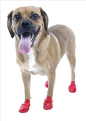 Pawz WaterProof Dog Boot