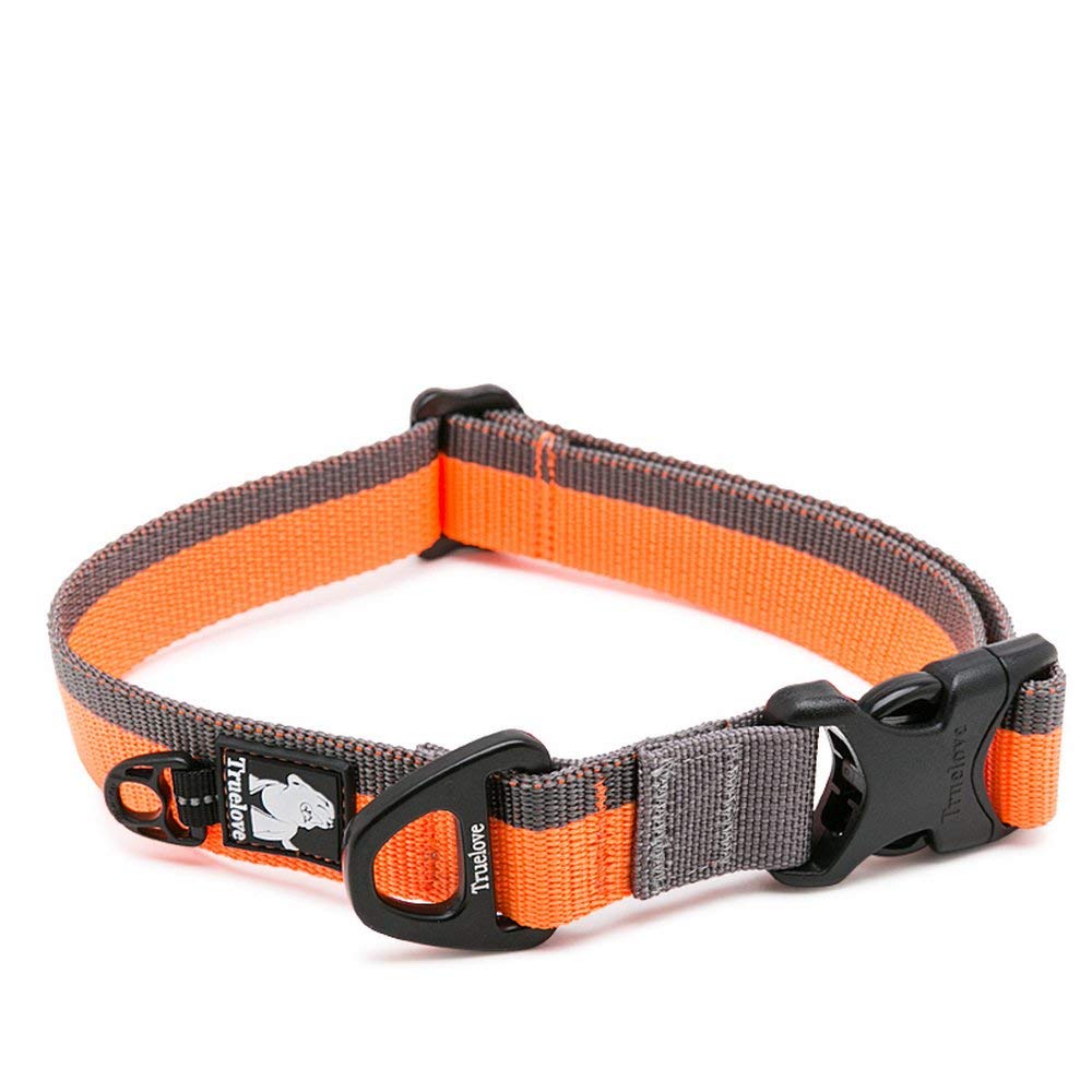 Clumsypets Dog Collar with D-Ring and Buckle