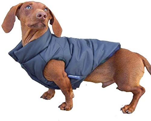 DJANGO Puffer Dog Jacket 