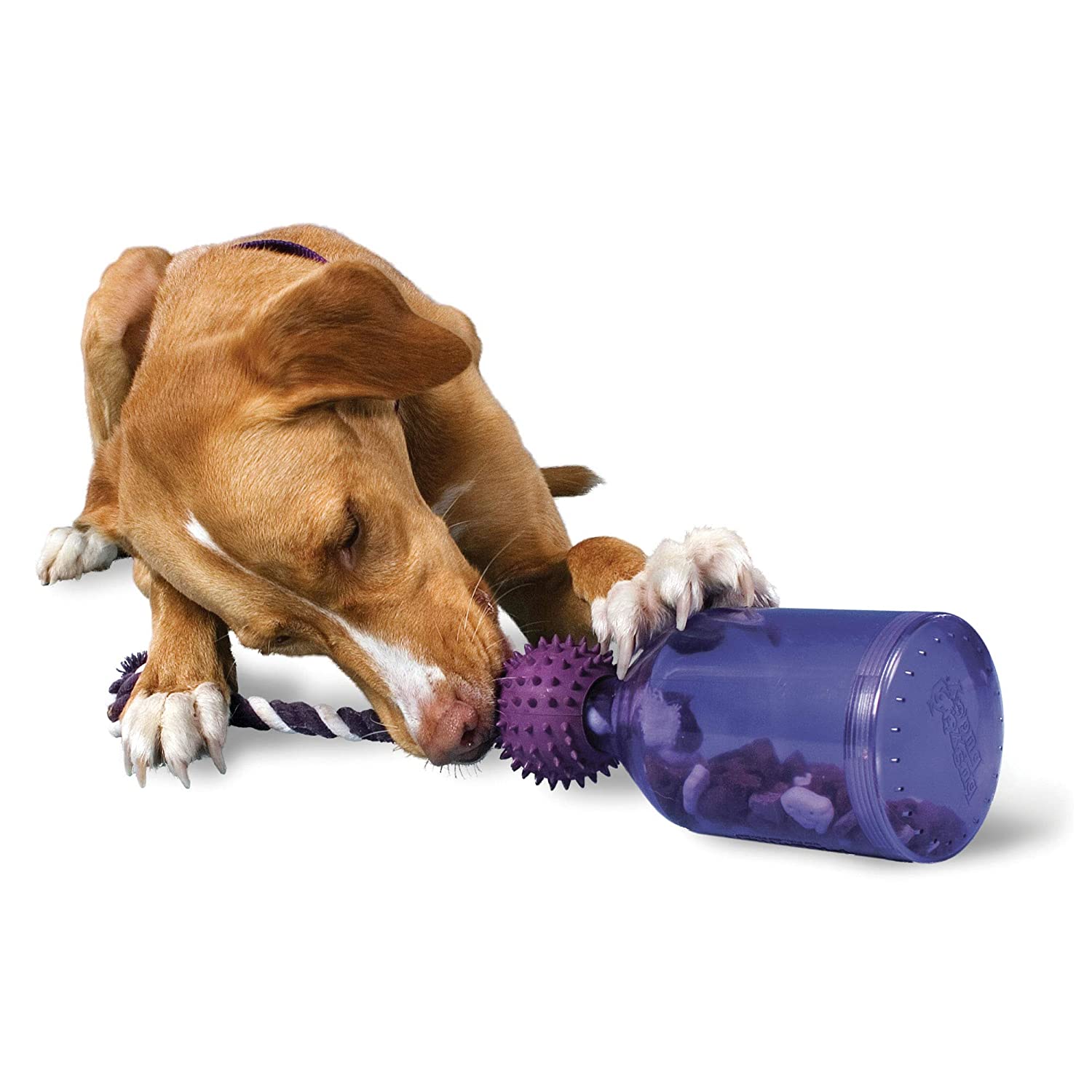 PetSafe Busy Buddy Tug-A-Jug Dog Toy