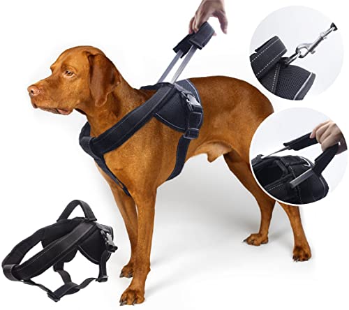 YOGADOG Heavy Duty Dog Harness
