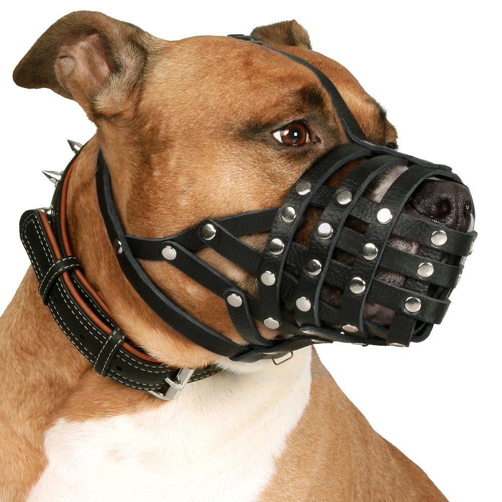 CollarDirect Pitbull Dog Muzzle