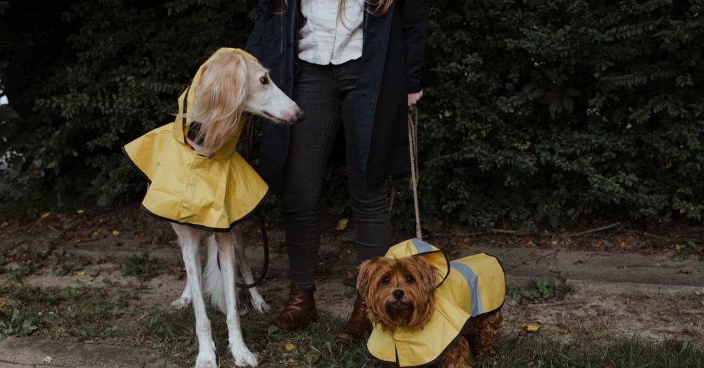 Best Dog Raincoats