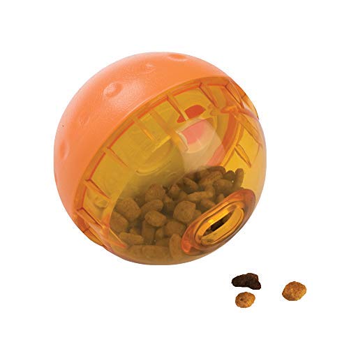 Our Pets IQ Treat Ball