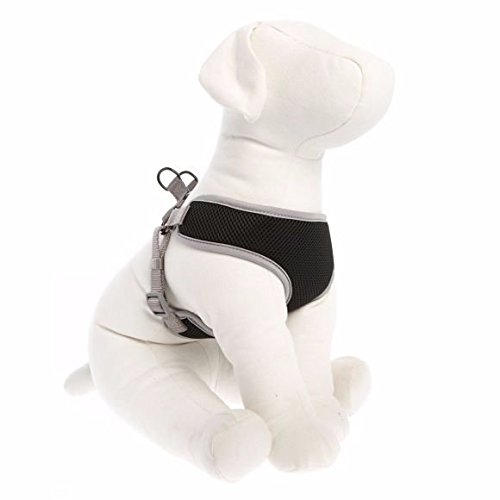 Top Paw Mesh Dog Harness