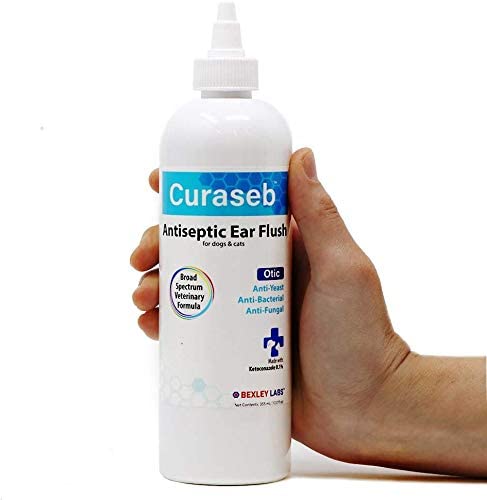 Bexley Labs Curaseb Antiseptic Air Flush