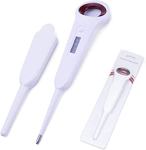 Pet Dog Thermometer