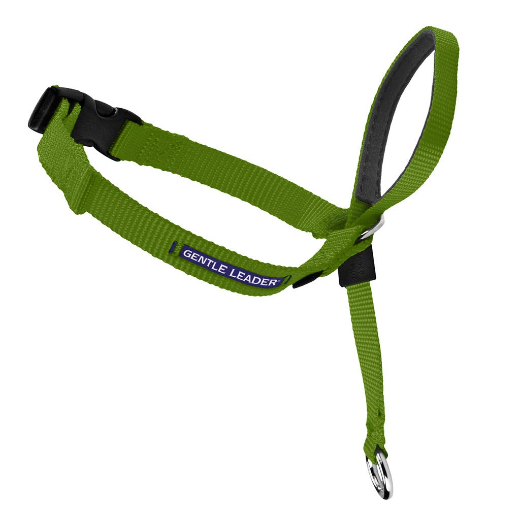 PetSafe Gentle Leader Headcollar