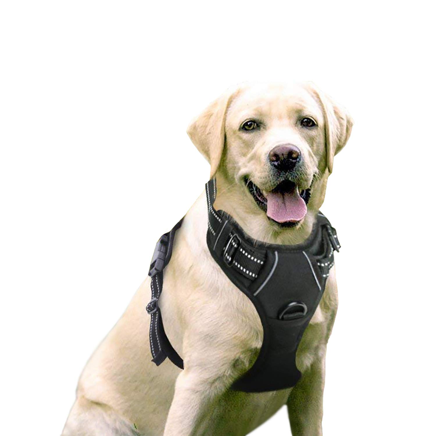 Rabbitgoo No-Pull Dog Harness