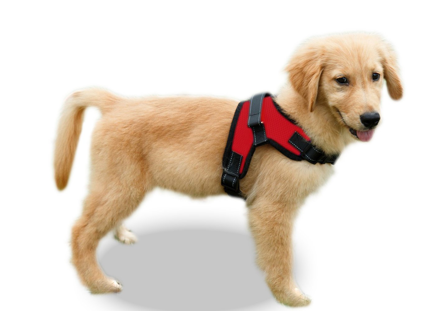 Copatchy No Pull Reflective Adjustable Dog Harness