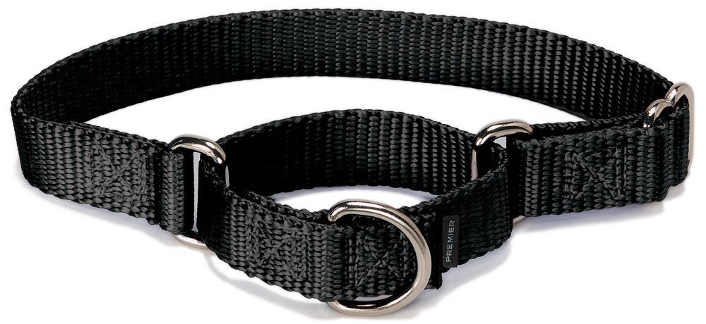 PetSafe Martingale Dog Collar
