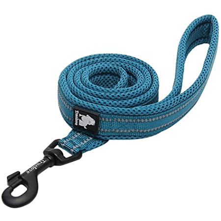 Chai's Choice Padded 3M Reflective Dog Leash