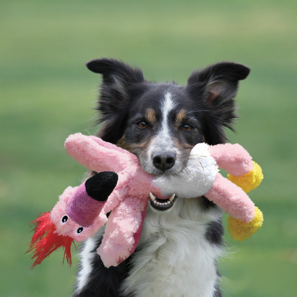 KONG Wild Knots Flamingo Dog Toy