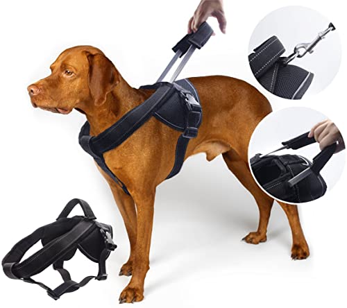 YOGADOG Heavy Duty Dog Harness