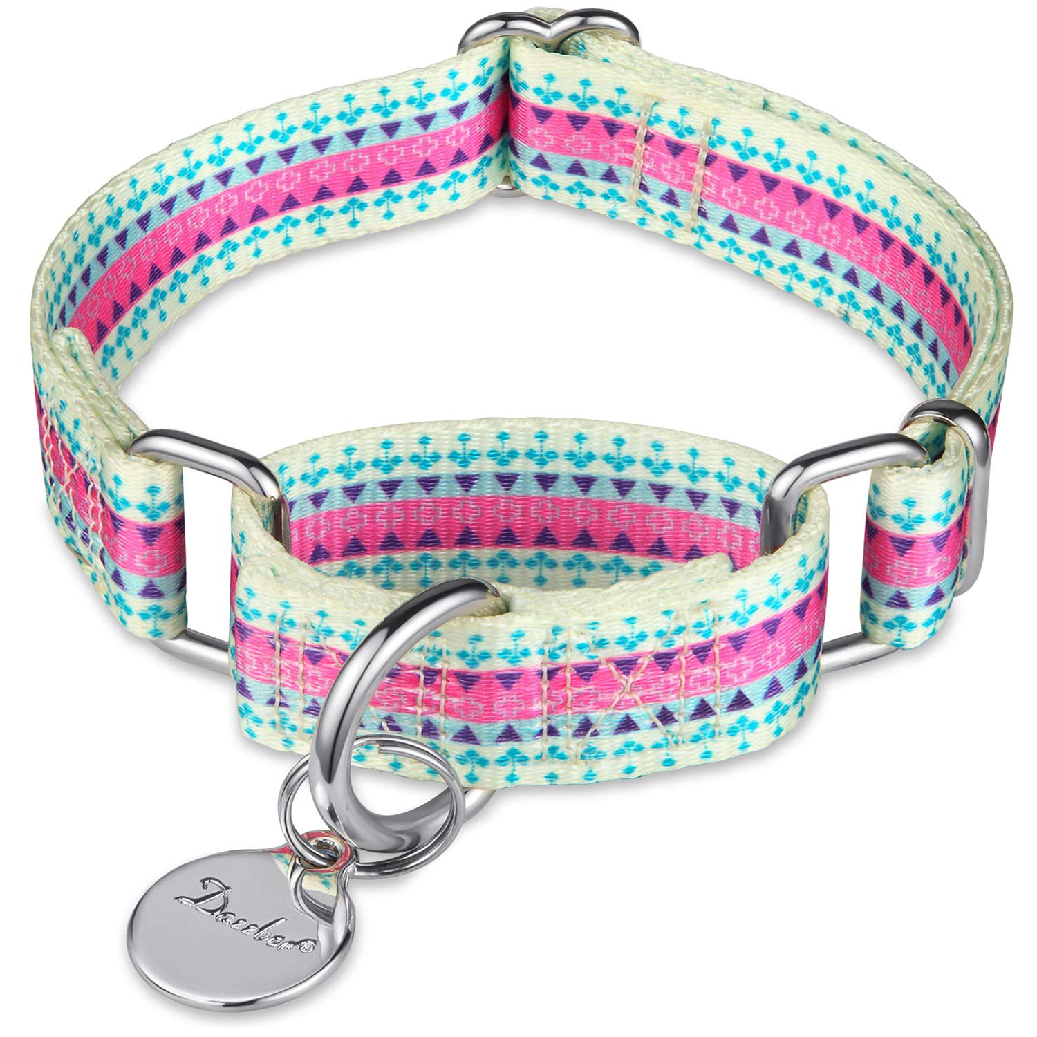 Dazzber Martingale Collar Dog