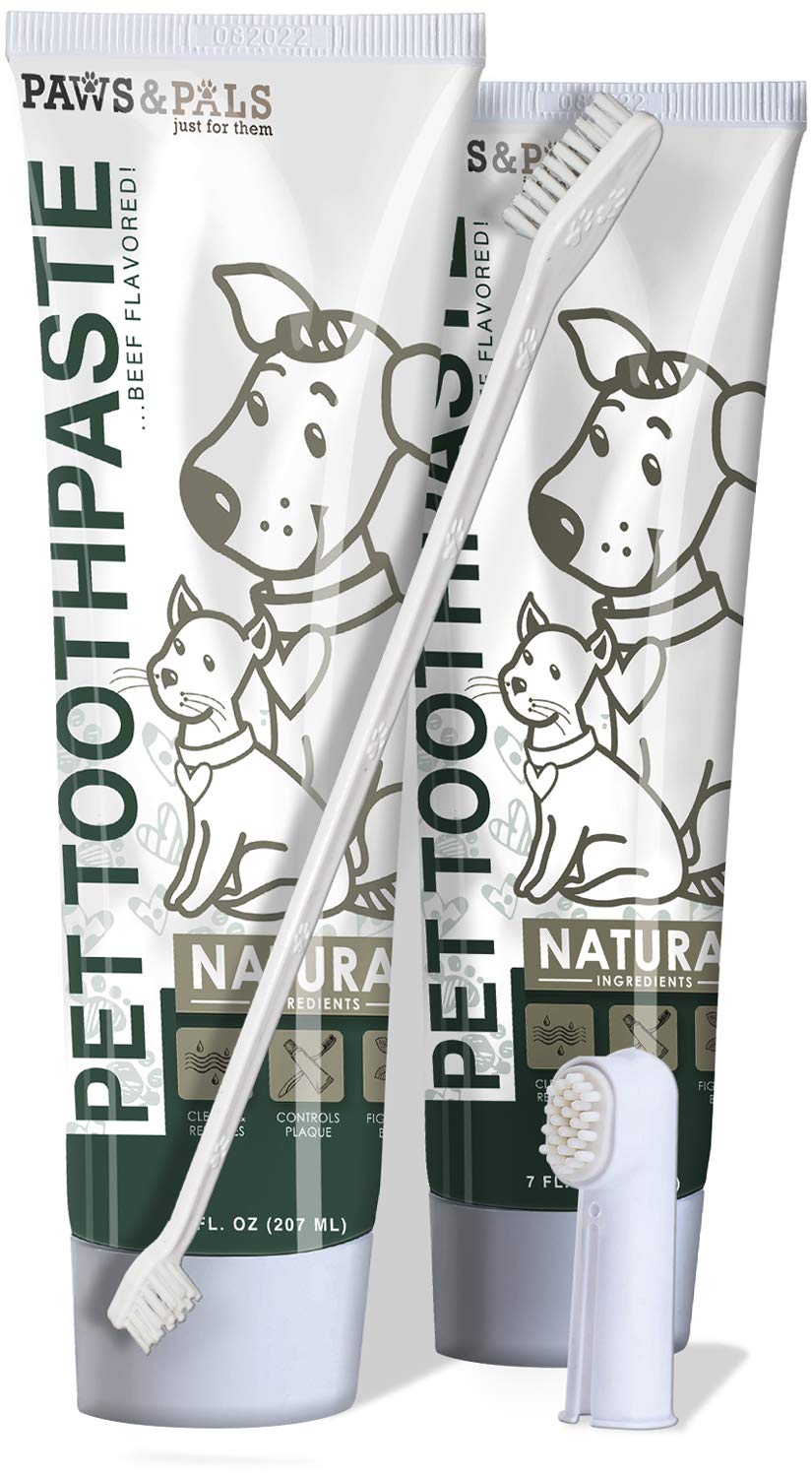 Paws & Pals Pet Dental Care Kit