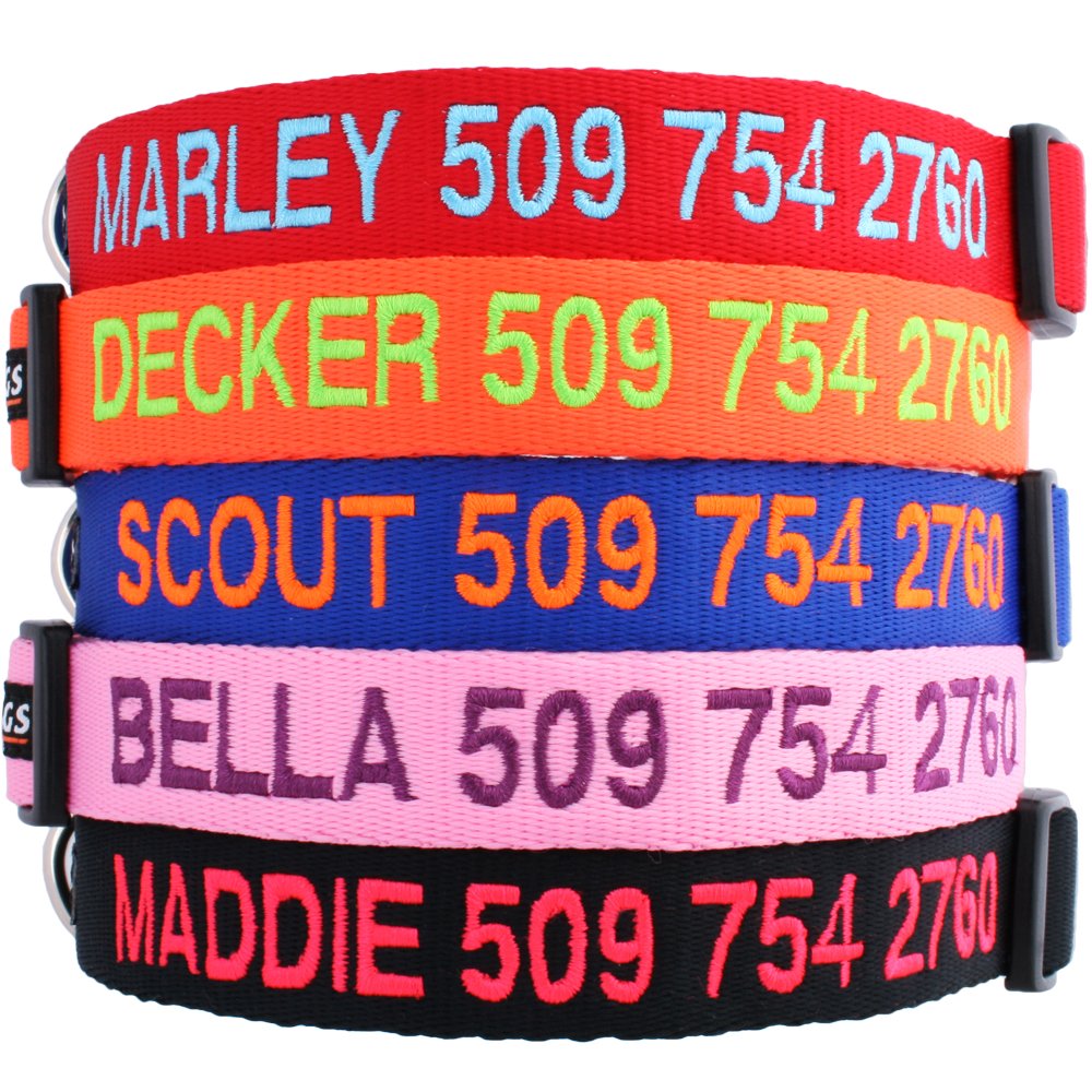 GoTags Personalized Dog Collar