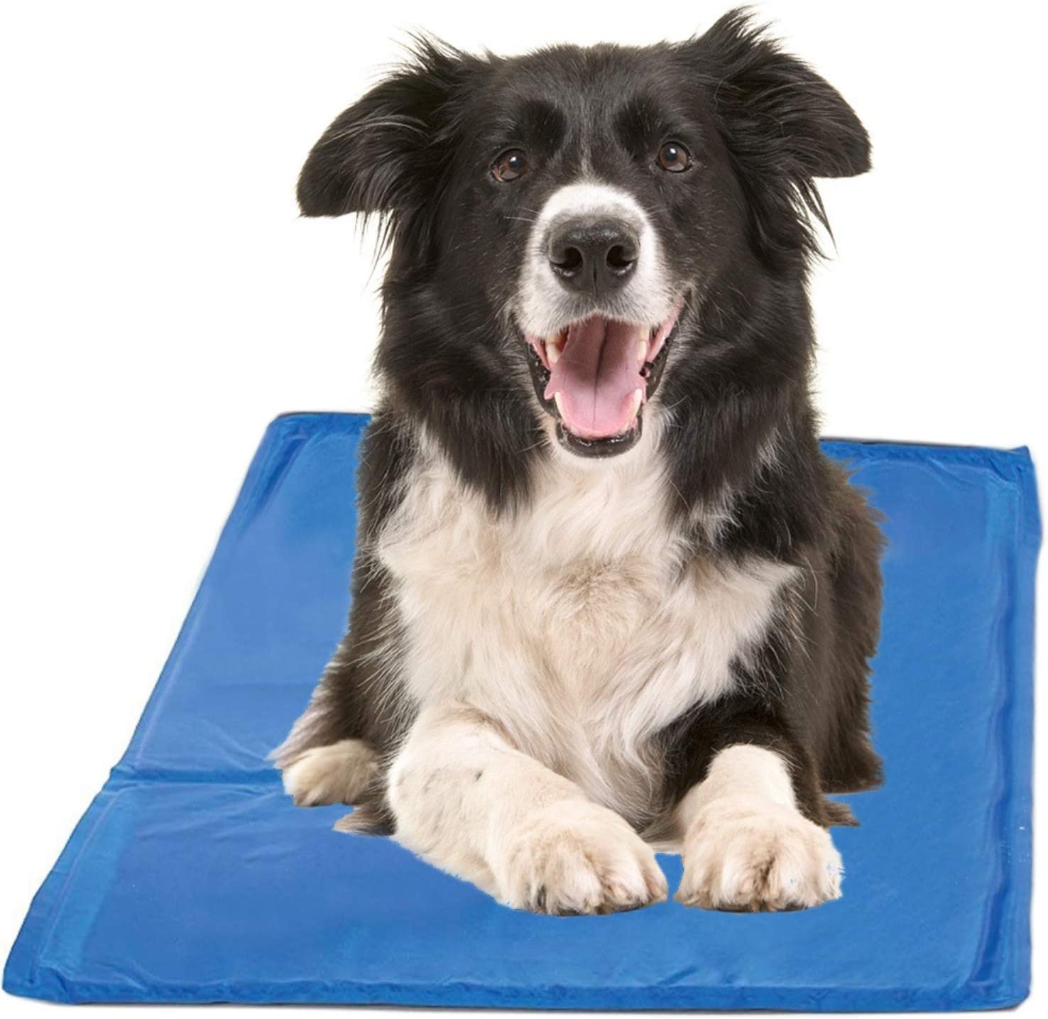 Chillz Cooling Pressure Activated Gel Dog