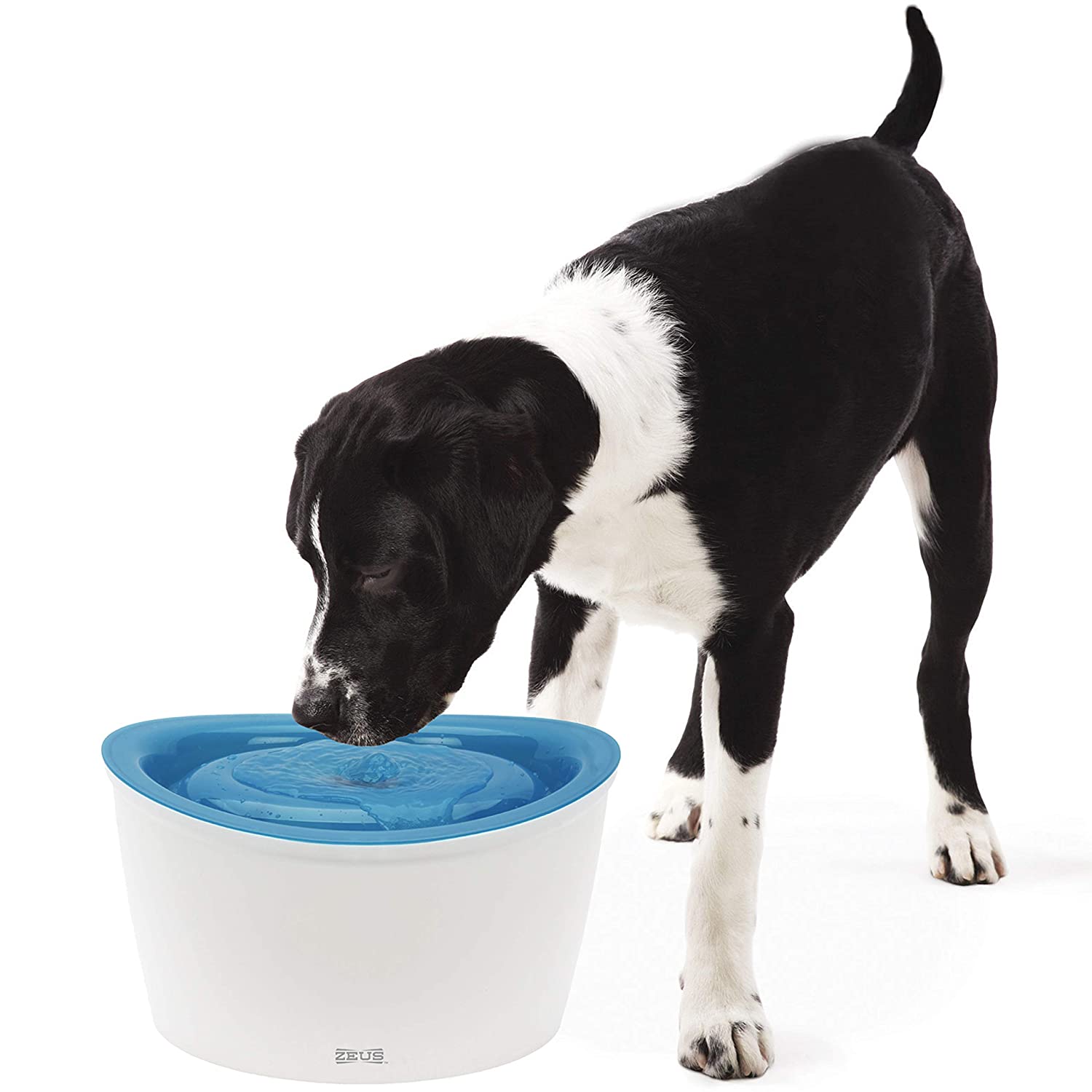 Dogit Zeus Elevated Dog Water Dispenser