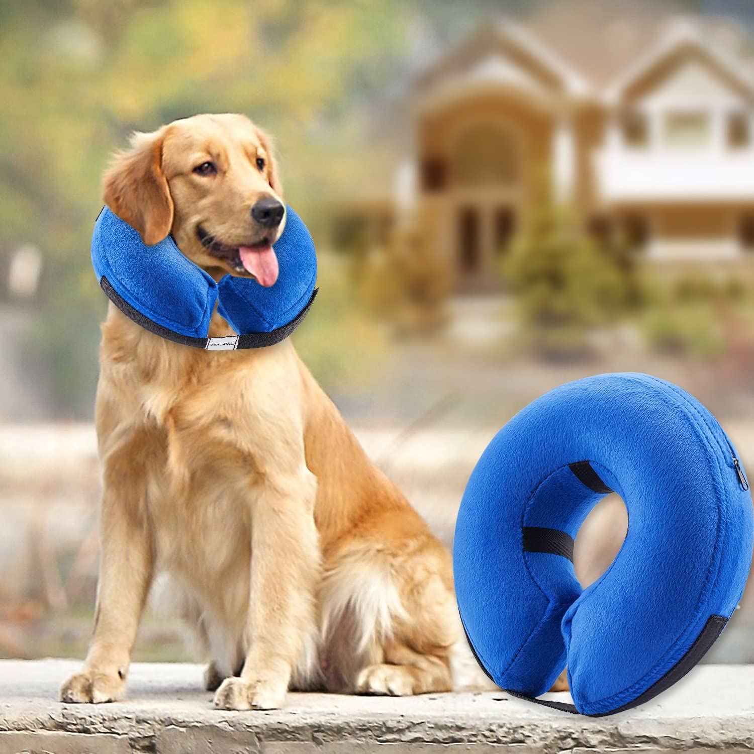 BENCMATE Protective Inflatable Collar for Dogs