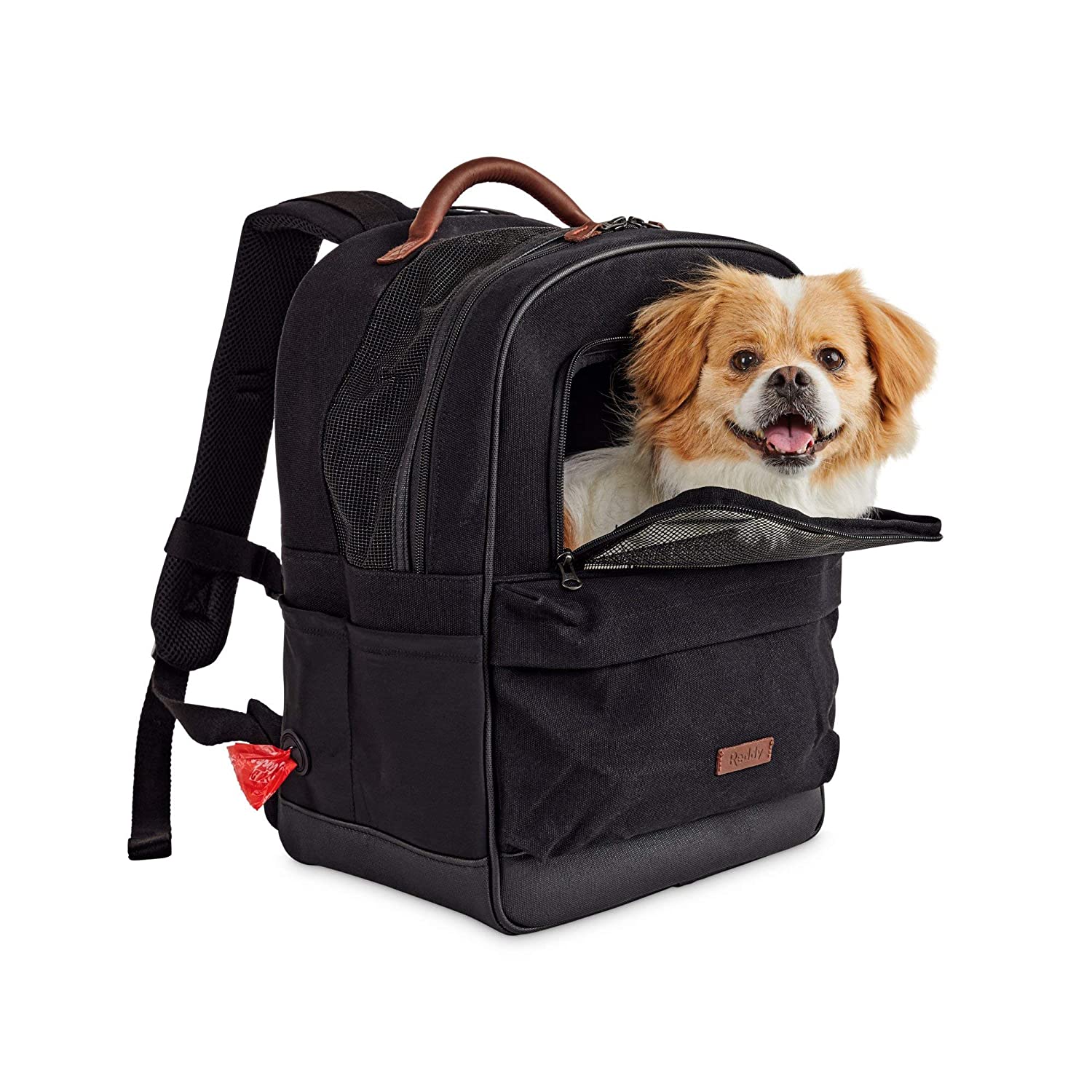 Reddy Black Cotton Canvas Pet Carrier