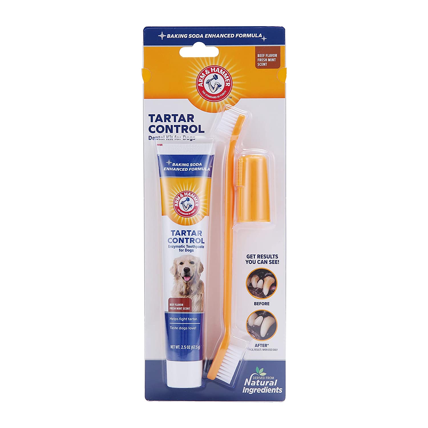 Arm & Hammer Dog Dental Care Tartar Control Kit for Dogs