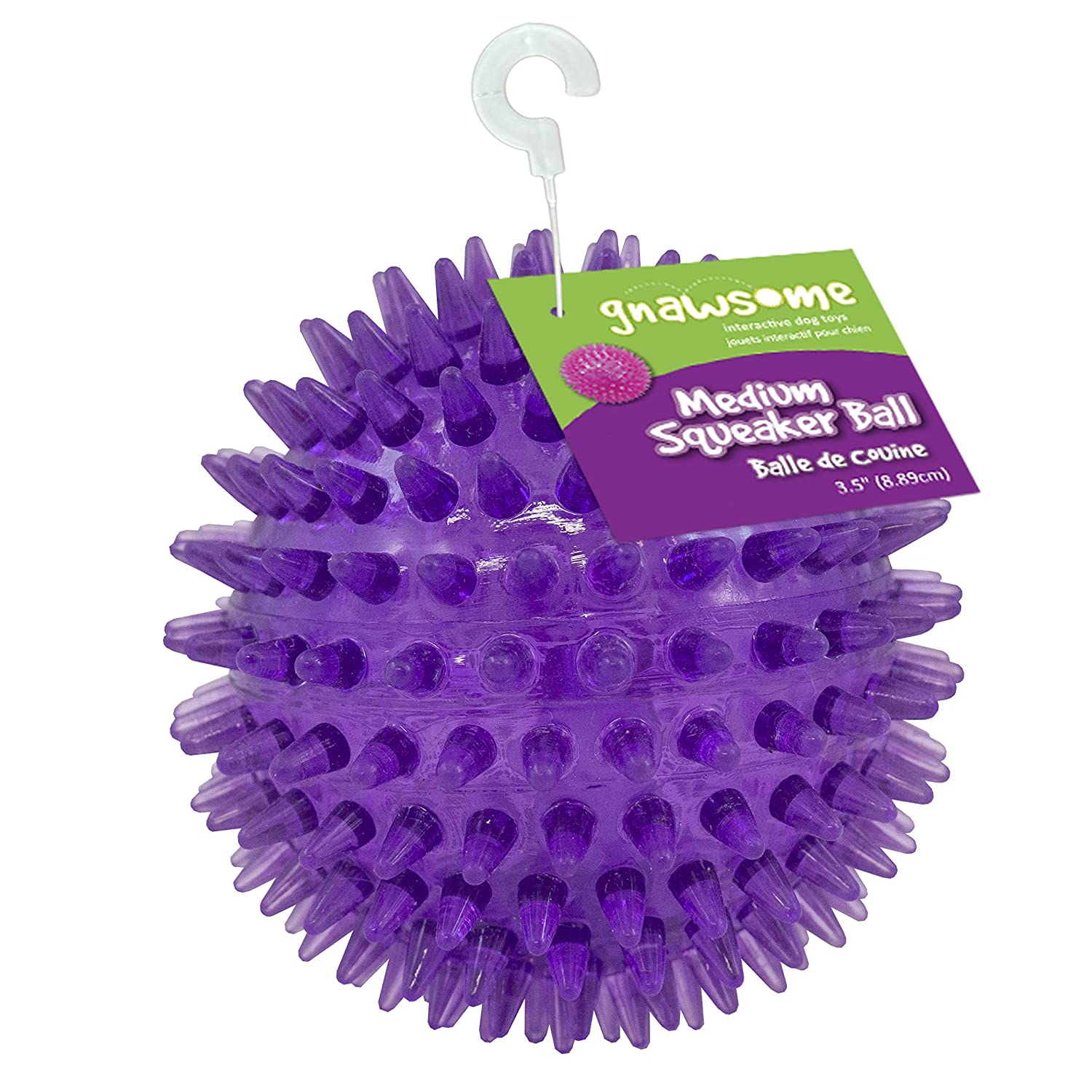 Gnawsome Medium Squeaker Ball Dog Toy