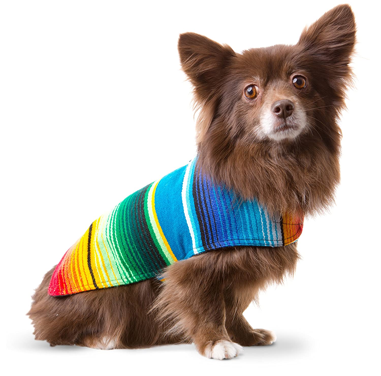 Baja Ponchos Handmade Dog Poncho