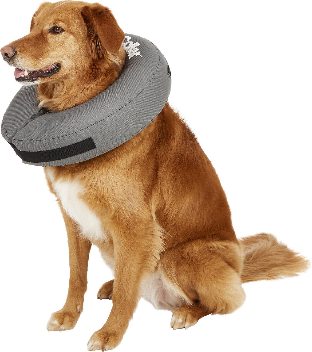 ZenPet ZenCollar Inflatable Recovery Dog Collar