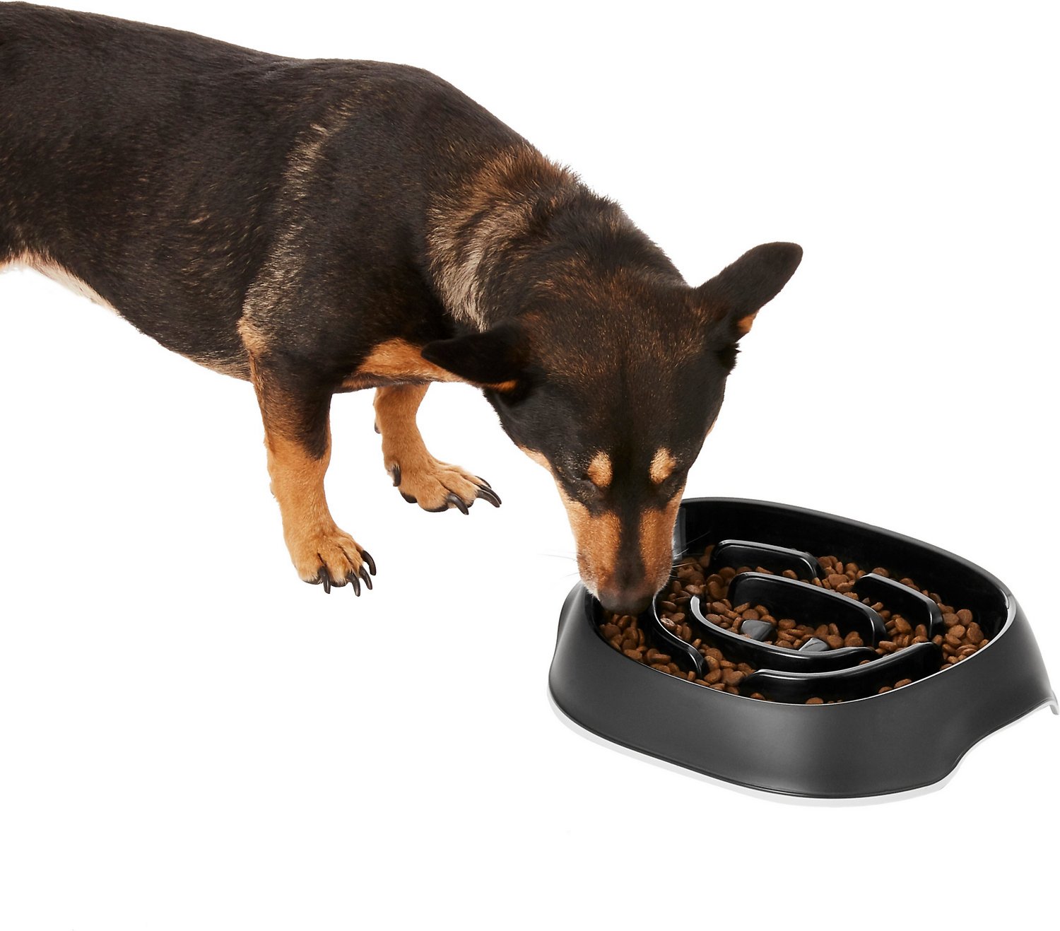 Frisco Non-Skid Slow Feeder Dog Bowl