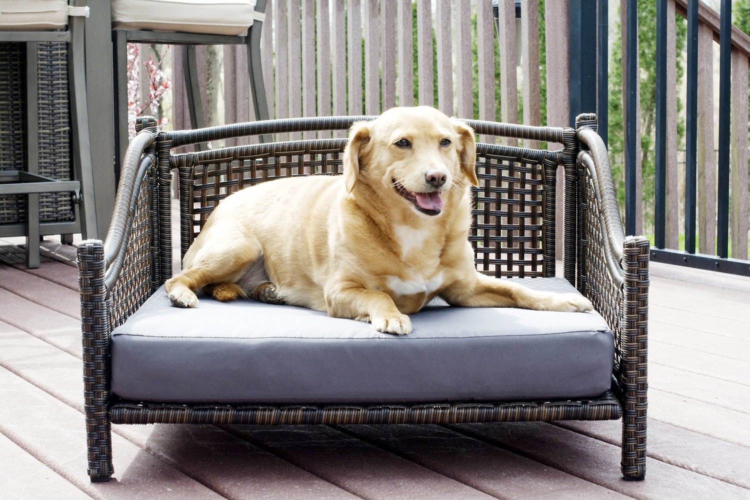 Iconic Pet Maharaja Rattan Sofa Dog Bed