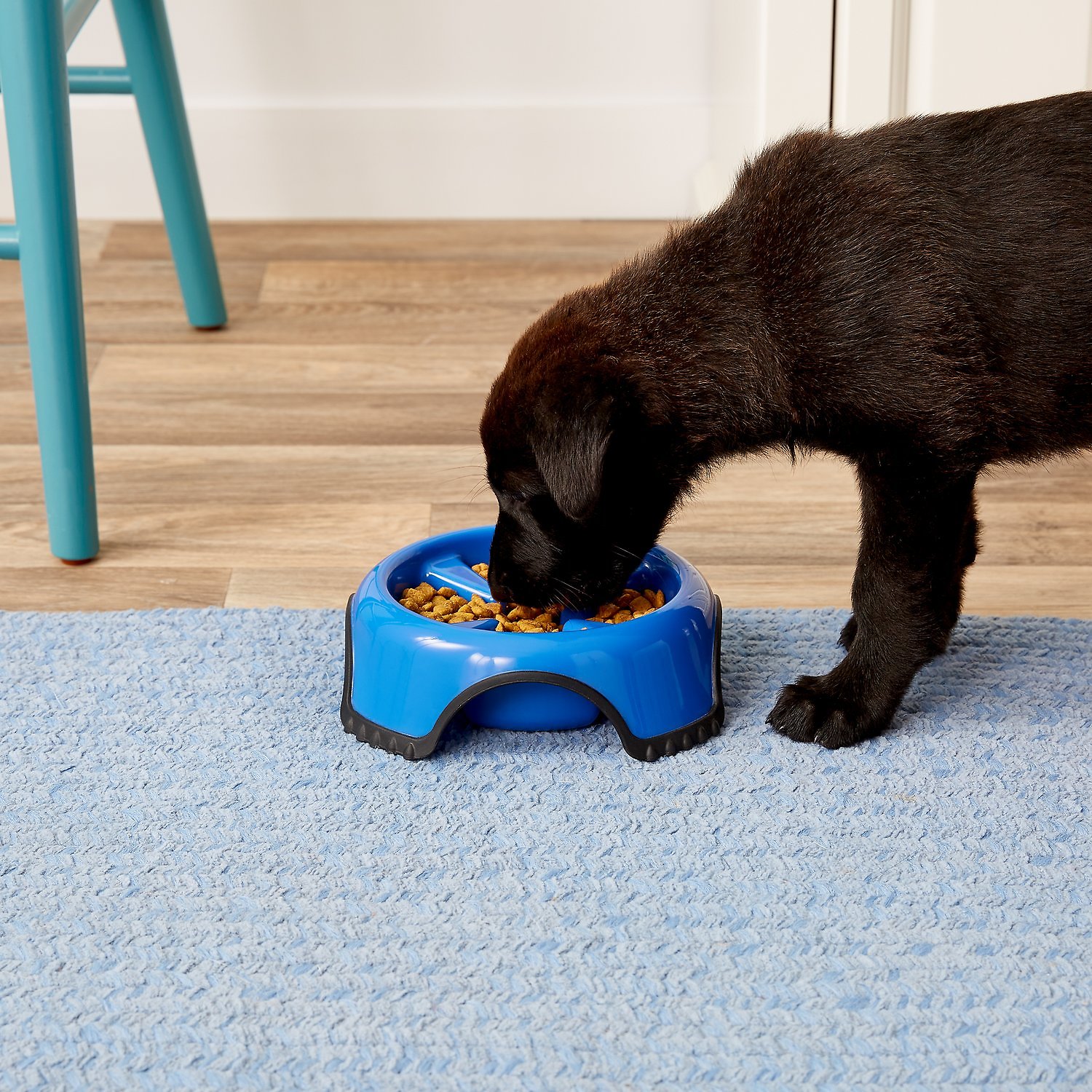 JW Pet Skid Stop Slow Feed Dog Bowl