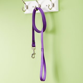 PetSafe Premier Nylon Dog Leash